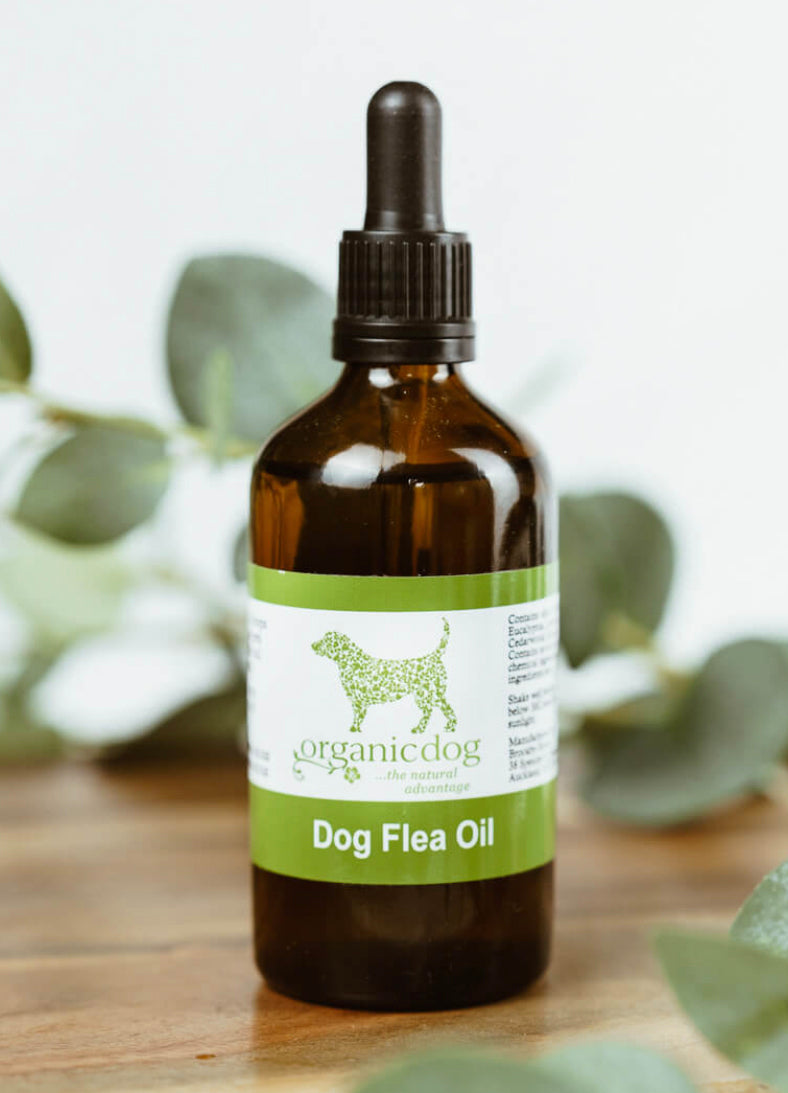 Brookby Herbs Flea Oil (50ml)