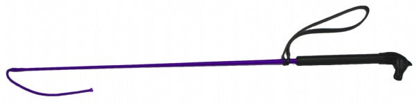 Dressage Whip w/Silver Cap Silver / 100cm