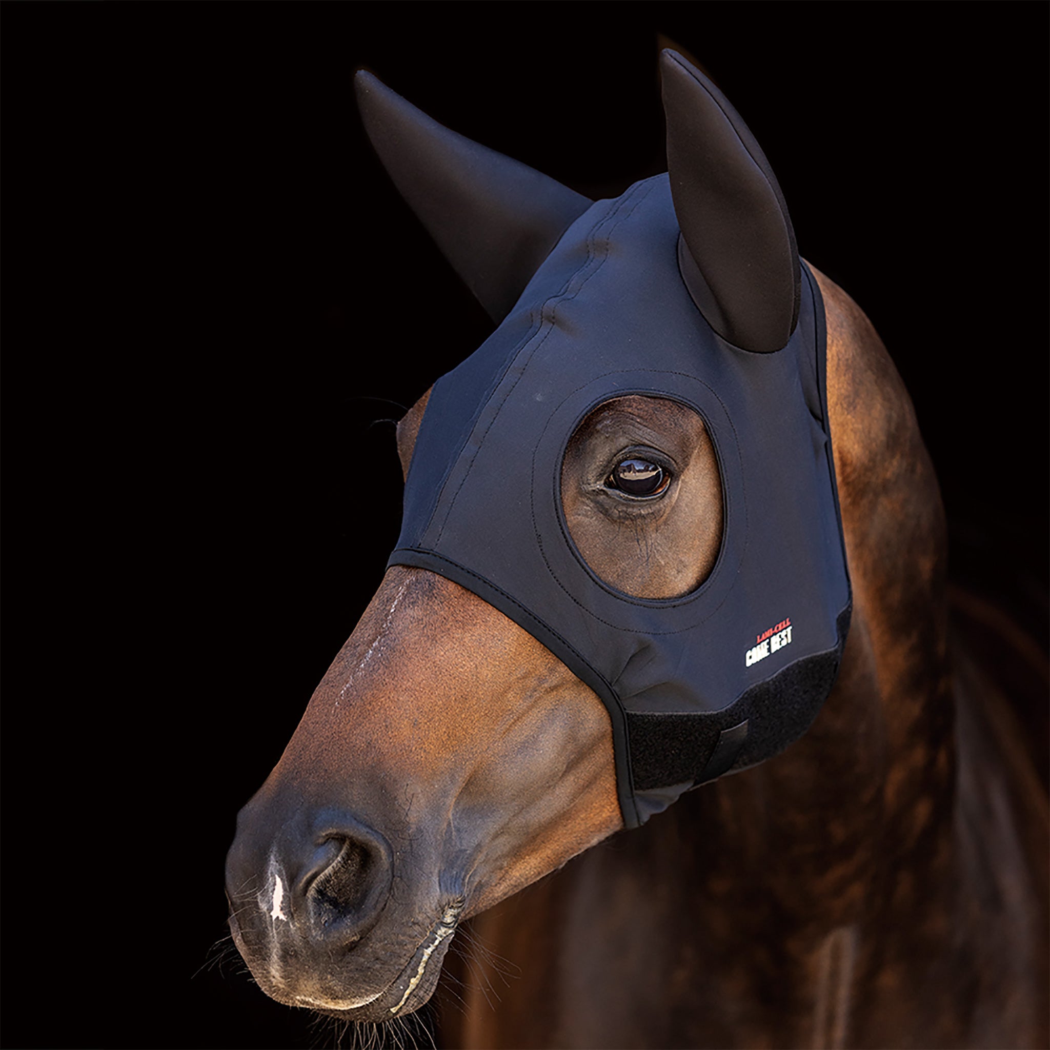 Zilco Titanium Hood W/Ears Black / Large