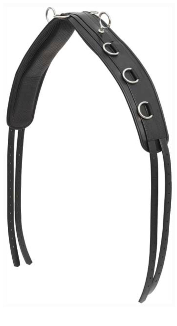 Zilco Training Roller (Blk)