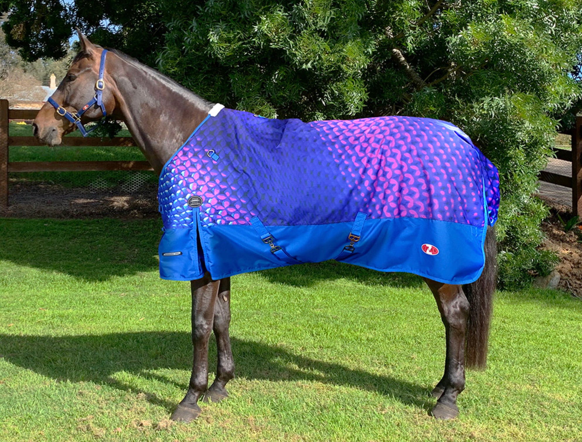 Zilco Crusader 200 Rug Tartan / 4.6