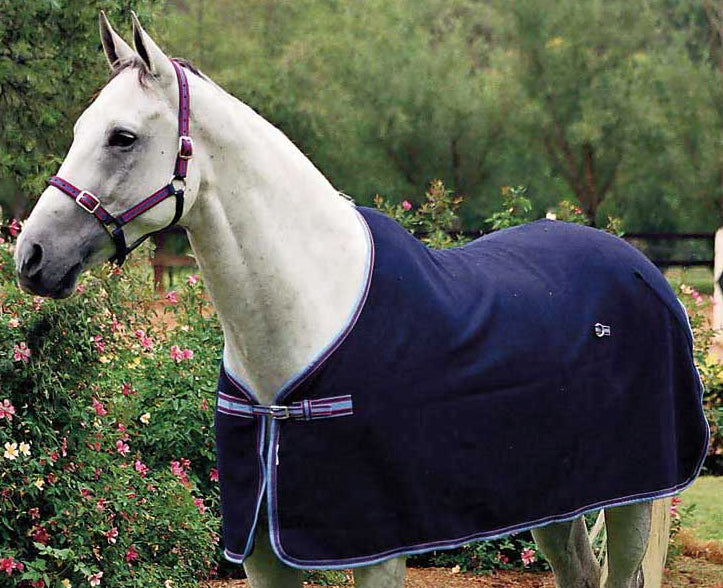 Zilco Defender Wool Rug One / 4.9