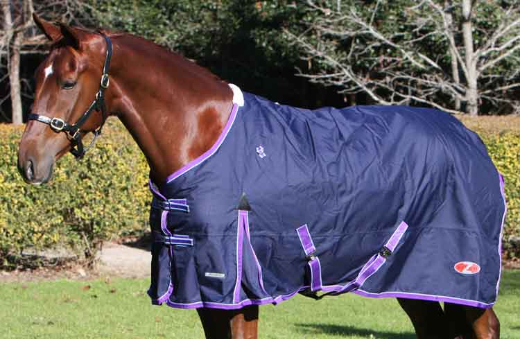 Zilco Explorer Rug Only 200g One / 5