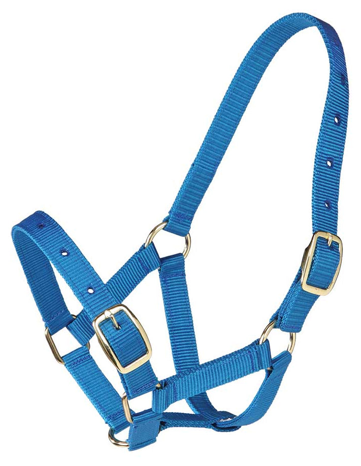 Zilco Gymkhana Foal Halter Red / All