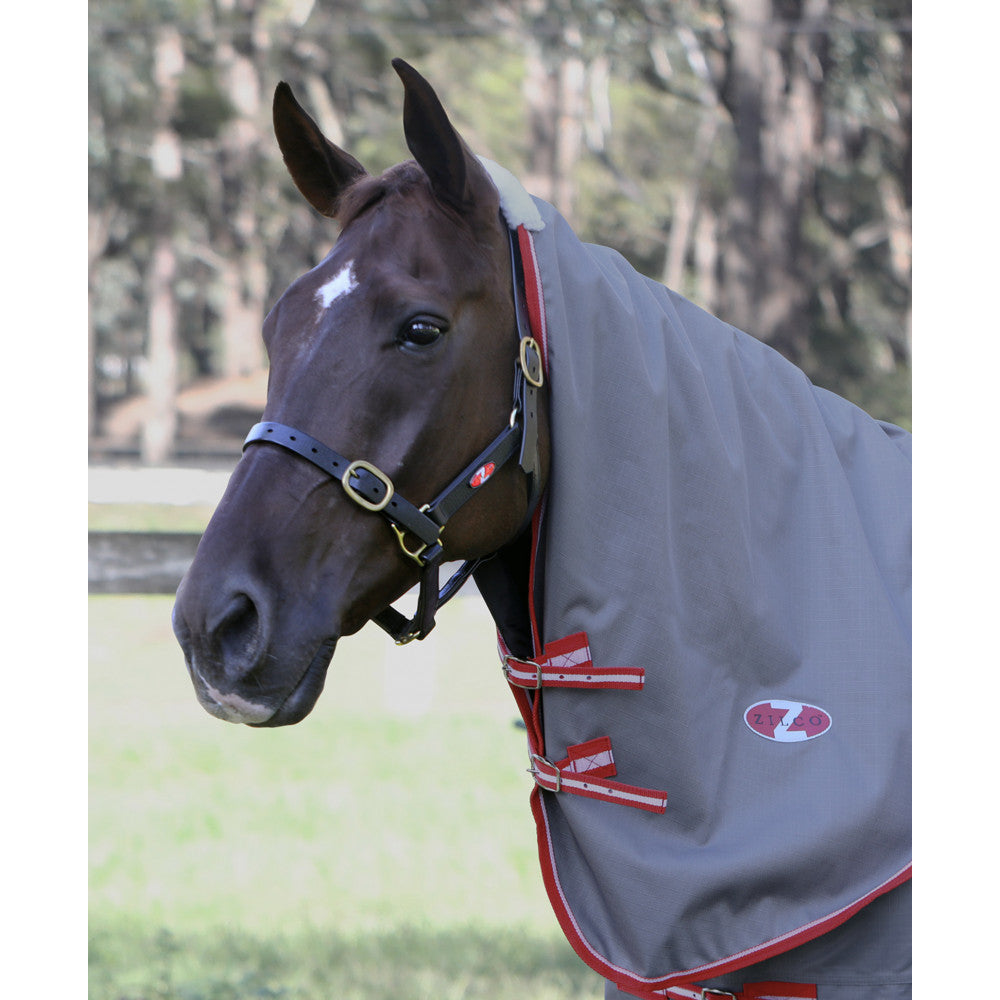 Zilco Garrison Neck Rug One / Small/Medium
