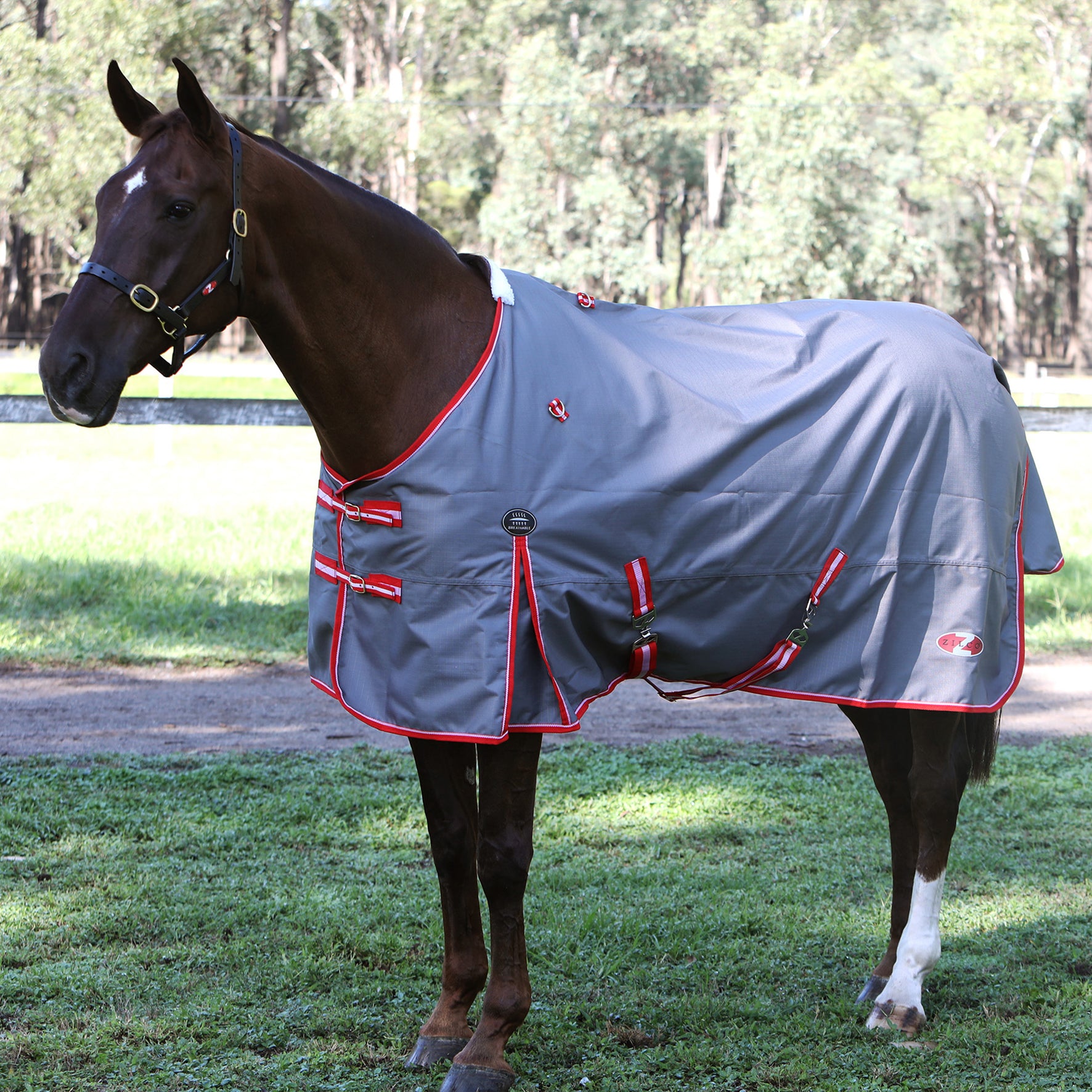 Zilco Garrison Rug Blue / 3.9