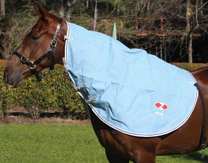 Zilco Hamilton Neck Rug One / Full