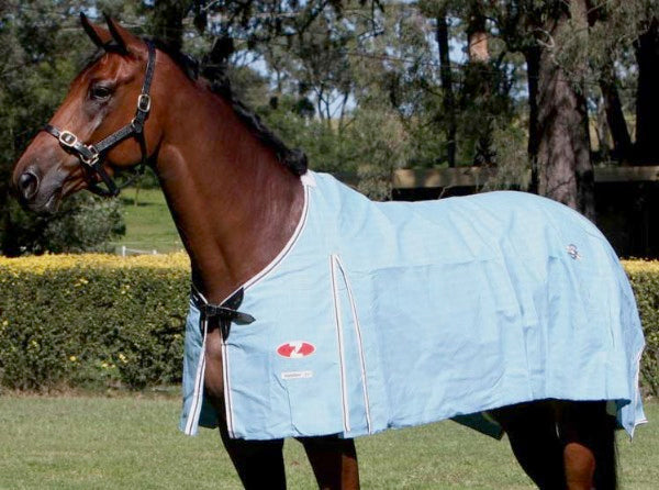 Zilco Hamilton Rug Only One / 3.3