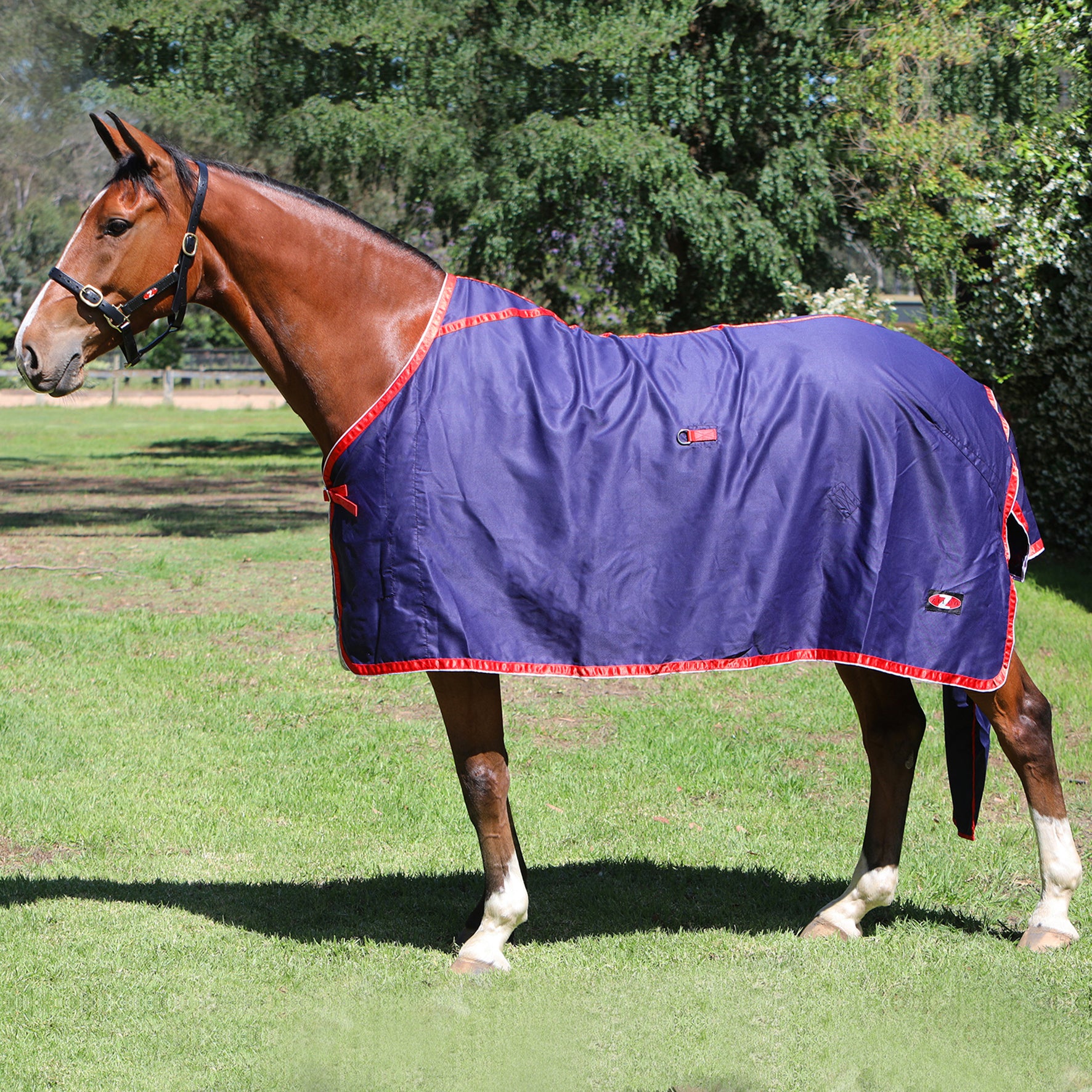 Zilco Show Circuit Cotton Rug One / 4.3