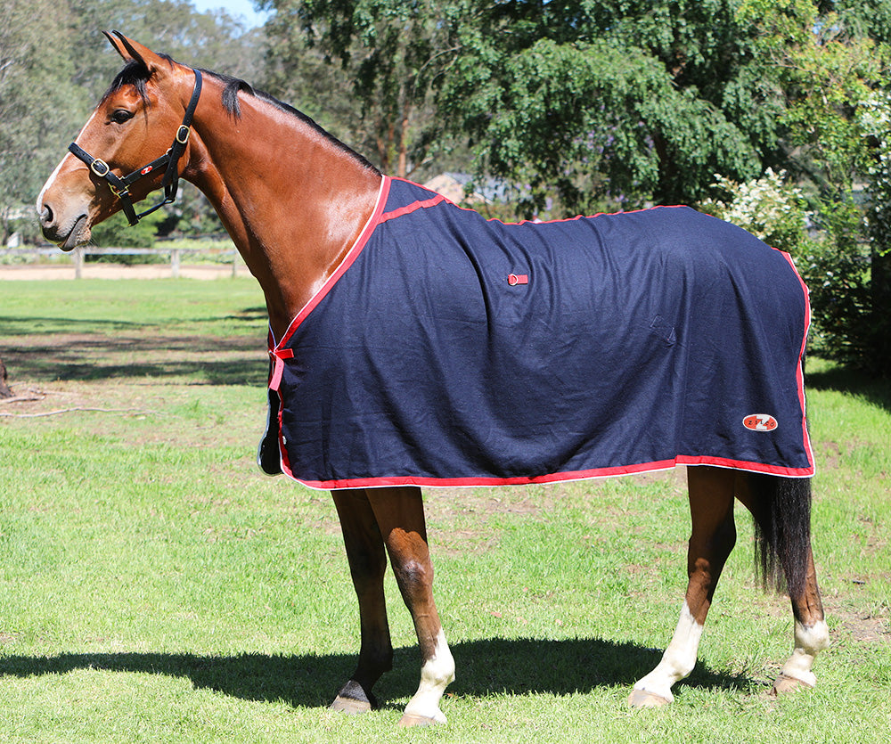 Zilco Stadium Wool Rug Navy / 4.6